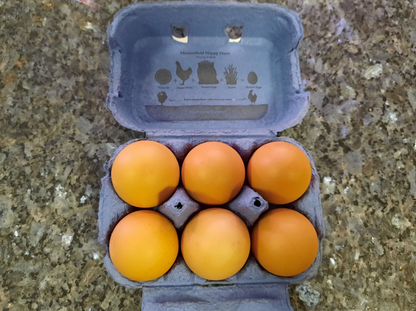 6 Large Free Range Eggs